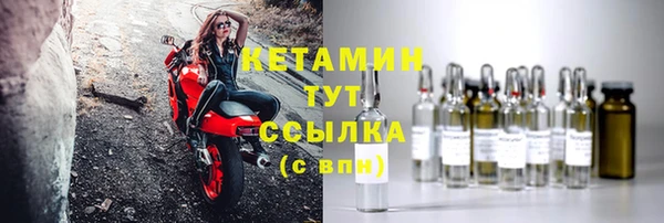 прущие грибы Белокуриха