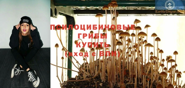 твердый Белоозёрский