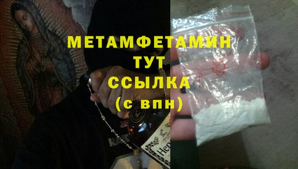 прущие грибы Белокуриха