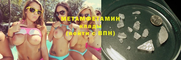 прущие грибы Белокуриха