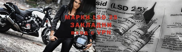 прущие грибы Белокуриха