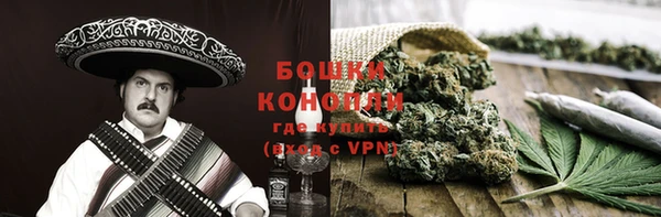прущие грибы Белокуриха