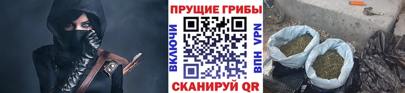 Псилоцибиновые грибы Psilocybe  наркошоп  Маркс 