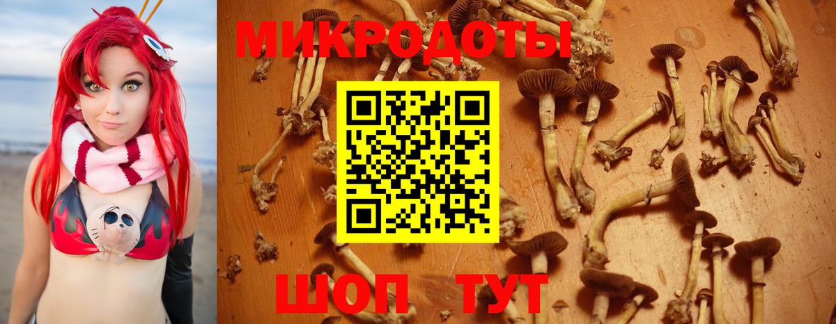 Маркс  Псилоцибиновые грибы мицелий  Псилоцибиновые грибы мицелий  Вход с VPN 